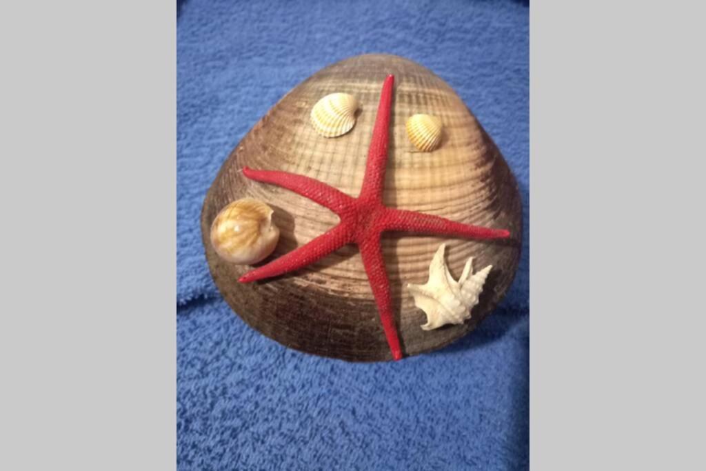 Sea Star - Per Le Tue Vacanze Al Mare * Riposto